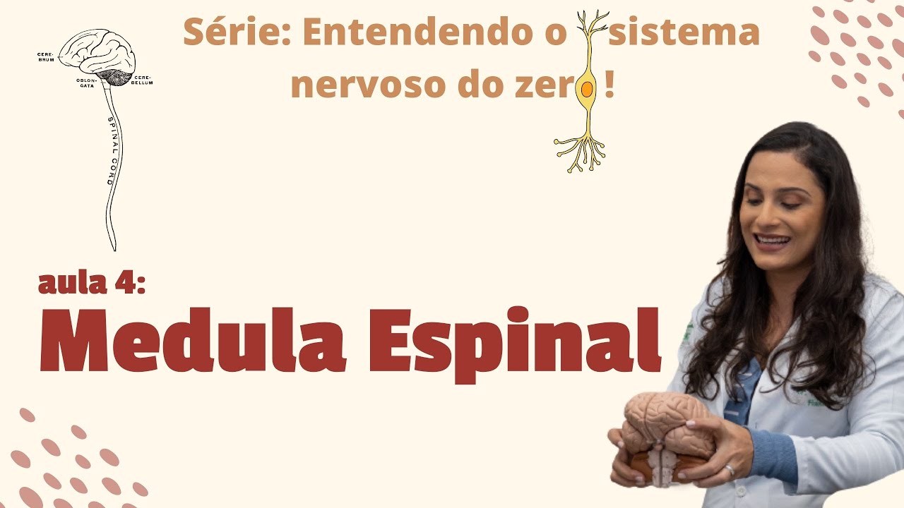 Entenda o sistema nervoso DO ZERO: Aula 4 - Medula Espinal