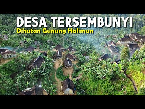 Video Profil Desa Maju Jaya