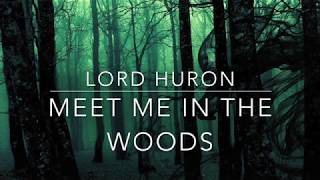 Meet Me in the Woods - Lord Huron - Lyrics
