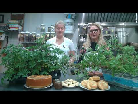 Scented Geranium Tutorial and Tea | Saturday, May 20, 2pm