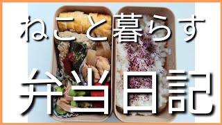 ねこと暮らす前日作り置き弁当日記です