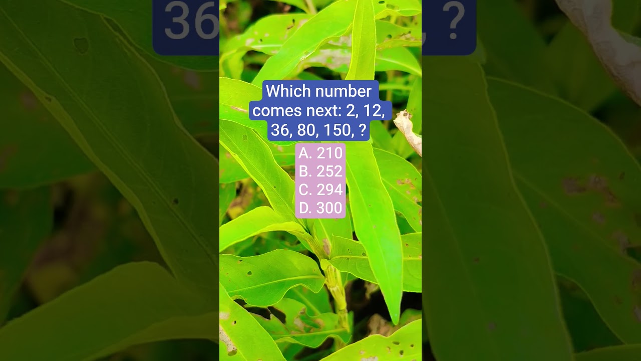 Which number comes next: 2, 12, 36, 80, 150, ?