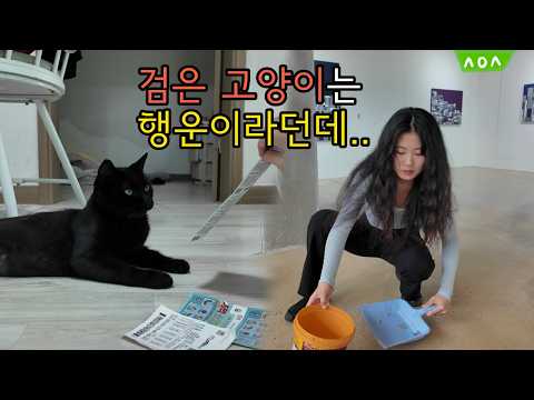 복권은 꽝, 집사는 백수! 33살 시골여자 뭘로 고양이 먹여 살릴까?