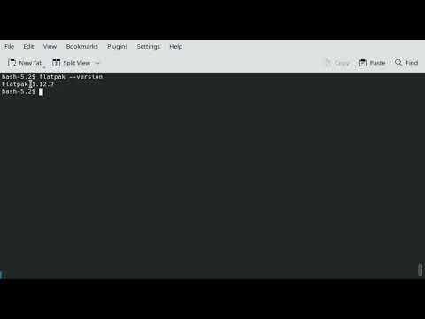 How to know installed flatpak's version