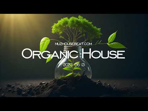 Organic House Music 2023-06