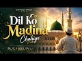 Dil Ko Madina Chahiye Heart Touching Naat 2026 Beautiful Islamic Nasheed Sufi Feeza Official
