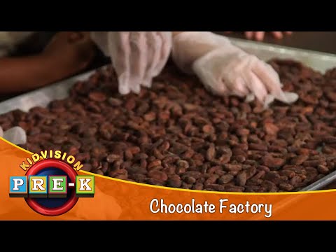 Chocolate Factory | Virtual Field Trip | KidVision Pre-K