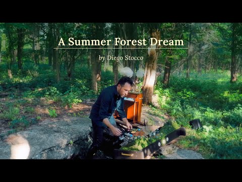 Diego Stocco  - A Summer Forest Dream
