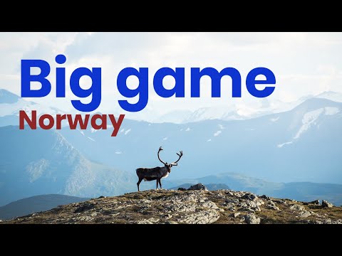 Norway - A hunters paradise