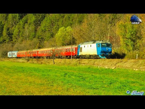 Trenurile Toamnei/Autumn Trains in Defileul Crisului Repede Canyon - 07 November 2013