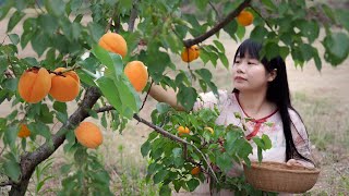 Bamboo products｜用竹子做了些小玩意。竹子，這低調的綠植，藏著不凡的力量與韌性