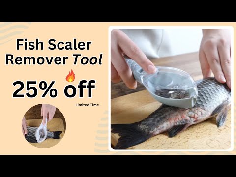 Plastic grey fish scale remover scrapper cleaning tool