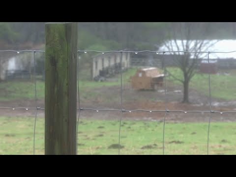 Soybean farmers cheer moves on US-China trade deal