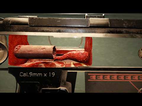 An INSIDE look at SCP-127 "The Living Gun"