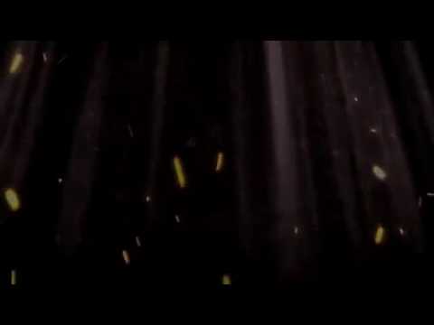 SN, Super Nando - God Panda "Video Official"