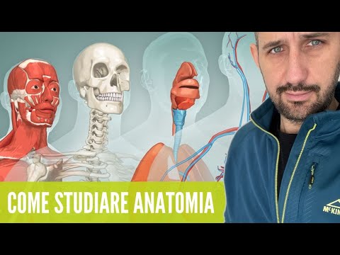 HOW TO STUDY ANATOMY: 6 Tips