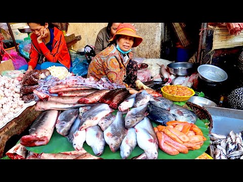 Walk Tour at Phsar Touch Tuol Sangke Market