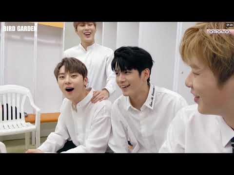 [VIETSUB] Okay Wanna One Ep 29 - BBQ Super Concert Behind