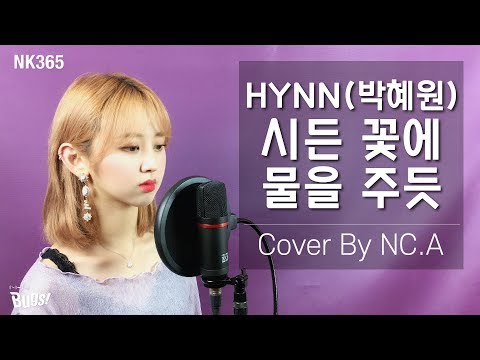 [앤씨아/NC.A] HYNN(박혜원) - 시든 꽃에 물을 주듯(The Lonely Bloom Stands Alone) COVER (+ENG SUB)