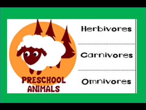 Herbivore Carnivore Omnivore Animals