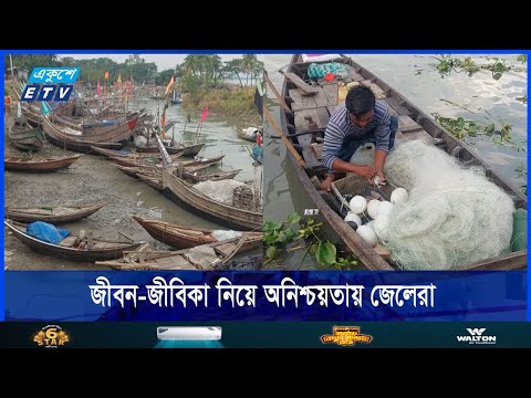 জলবায়ু পরিবর্তনের প্রভাব পড়েছে ইলিশের ওপর