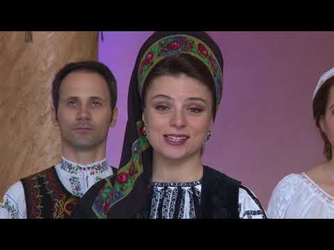 Anca MĂRGINEAN - Cântă cuce pe fântână