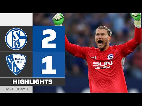 FC Schalke 04 Gelsenkirchen 2-1 VfL Verein für Le...