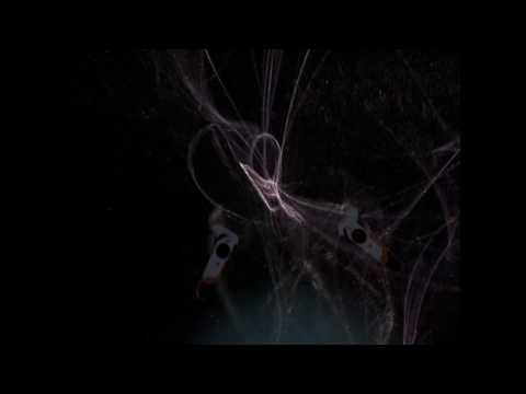 Cosmic Sugar HotMK Vive VIRTUAL REALITY