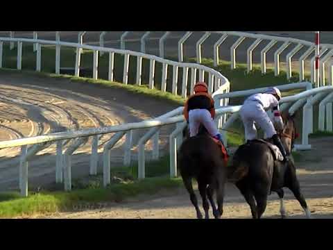 201127 c09 - BRUJERO - Brujo de Olleros y Onda-mare por Bright Again  - HIPODROMO LAS PIEDRAS