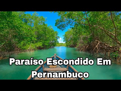 São José Da Coroa Grande Tem Um Dos Melhores Passeios De Pernambuco