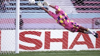 JORGE CAMPOS ATAJADAS IMPOSIBLES JORGE CAMPOS ATAJADAS IMPOSIBLES