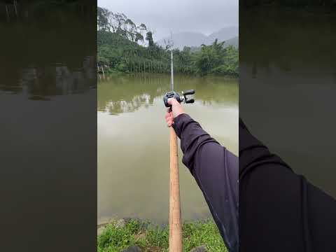 We don't even have peace when fishing! #bait #fishing #fish #fishing