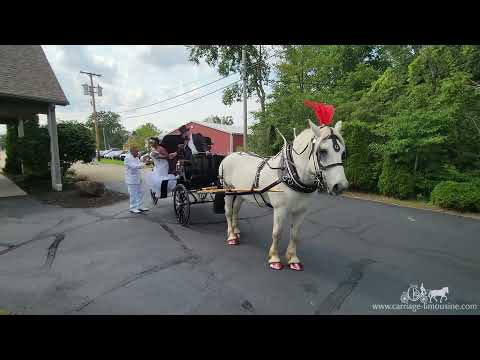 Promotional video thumbnail 3 for Carriage Limousine Service - Horse Drawn Carriages
