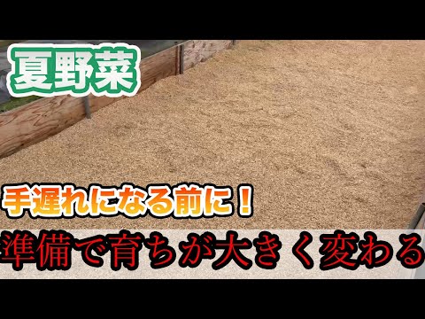 【夏野菜】種まきの準備！手遅れになる前にこれやってください！