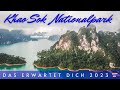 Khao Sok National Park - how it really is in 2023 | 4K