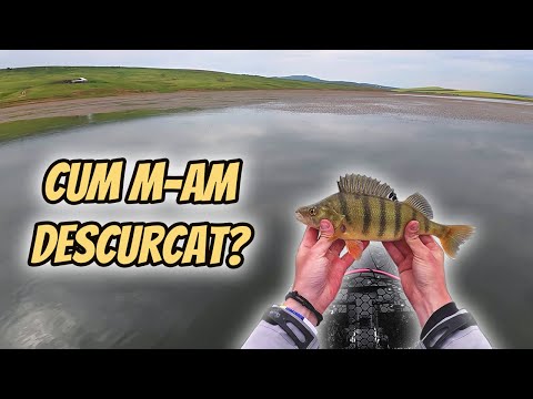 Am Participat la Prima Etapa Din Campionatul National De Spinning Divizia Caiac pe Barajul Tungujei