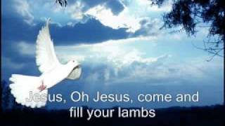 Spirit Song Maranatha Singers