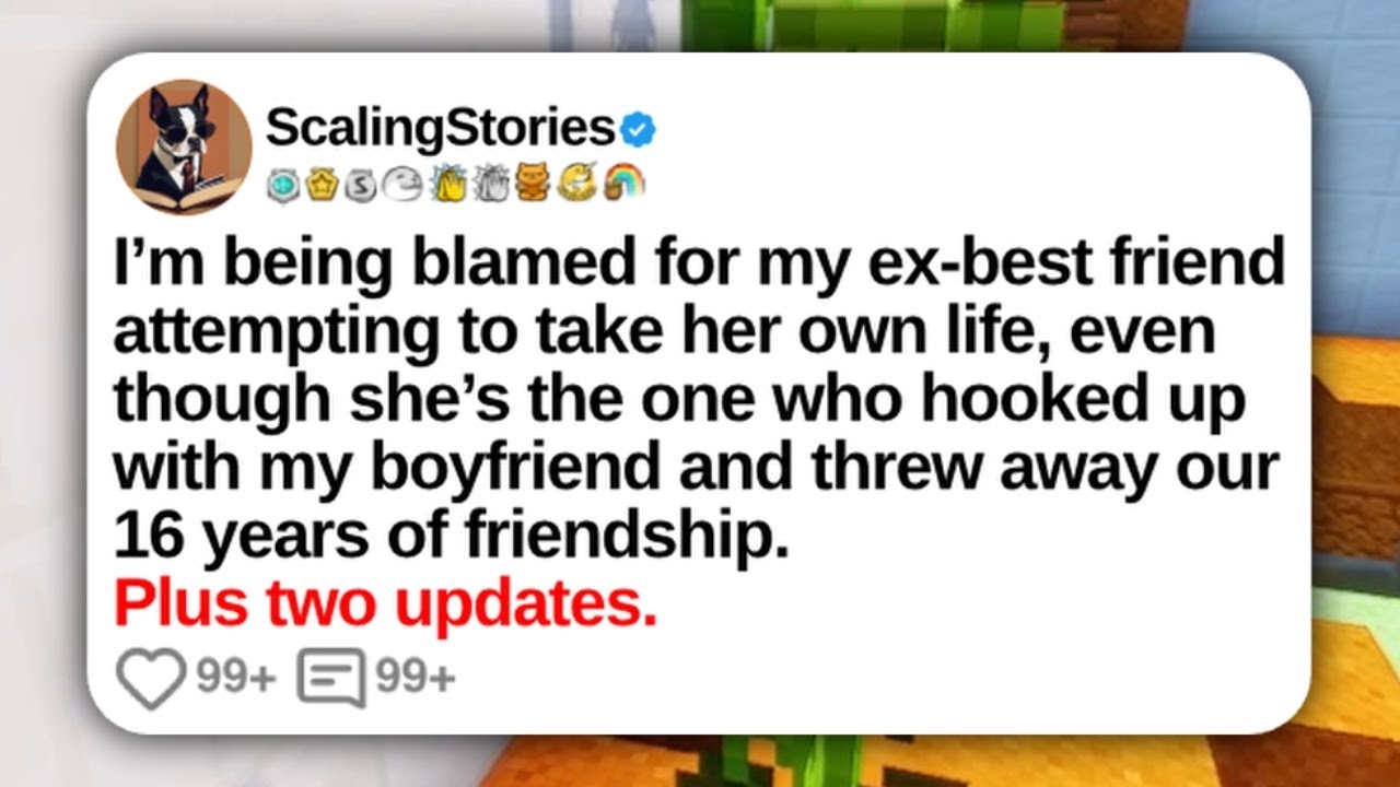 I’m Being Blamed for My Ex-Best Friend Attempting to Take Her Own Life... | Reddit Updates