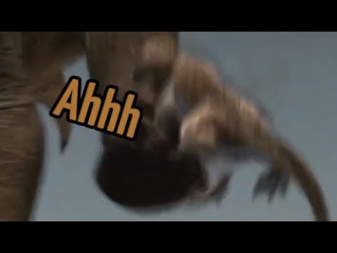 If dinosaurs had subtitles in dinosaur revolution