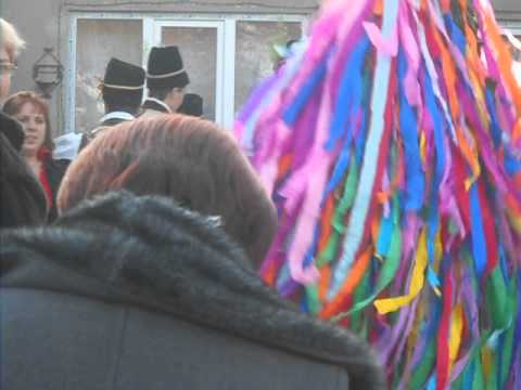 dubasii din jupinesti 1 timis 2012