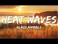 Glass Animals Heat Waves Lyrics