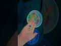Music Cover Orbeez