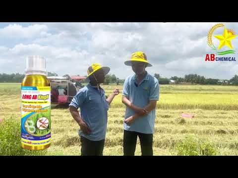 MÙA VỤ ĐÃ HOÀN THÀNH - LẮNG NGHE CHIA SẺ TỪ QUÝ BÀ CON