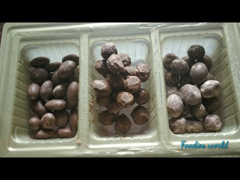 Cadbury Celebrations Rich Dry Fruit Don't Buy This Without Watching This Video