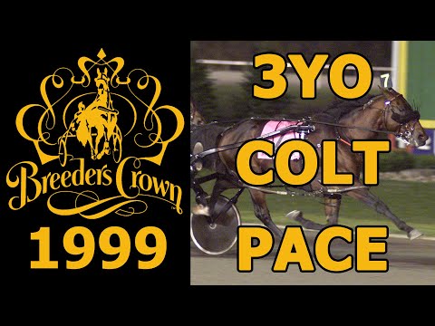 1999 Breeders Crown - Grimfromeartoear - 3YO Colt Pace