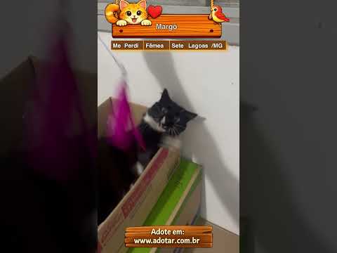 Vídeo de Margô