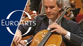 Thumbnail del capítulo