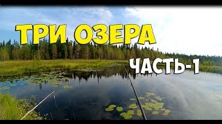Рыбалка в бокситогорском районе на озерах