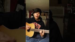 The Devil in My Bloodstream - The Wonder Years (cover)