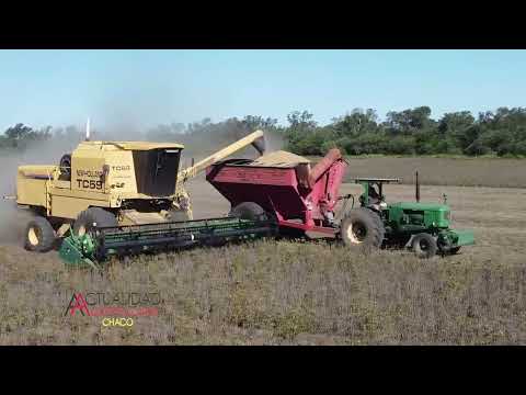 Cosecha de Soja - Campo Largo Chaco - Sr. Nelson Barrera - primera parte.